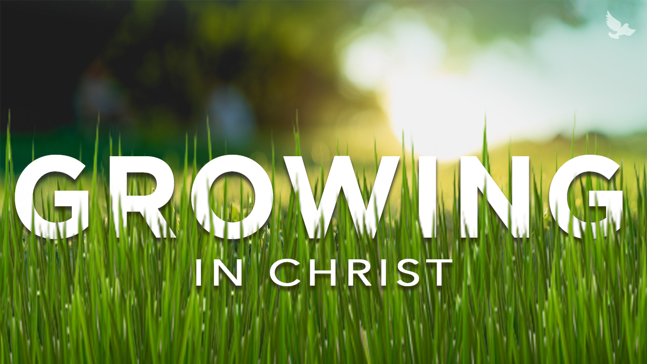 growing up in a christian home essay